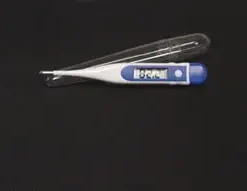 Adtemp 419 Hypothermia Thermometer