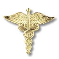 Caduceus - Gold Plate Pin